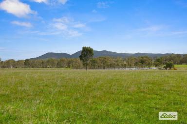 Other (Rural) For Sale - VIC - Great Western - 3374 - 20 Acre Private Country Escape with Grampians Views  (Image 2)