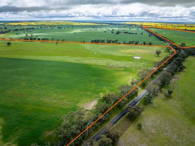 Mixed Farming For Sale - VIC - Peronne - 3413 - 'Delands'  (Image 2)