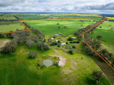 Mixed Farming For Sale - VIC - Peronne - 3413 - 'Delands'  (Image 2)