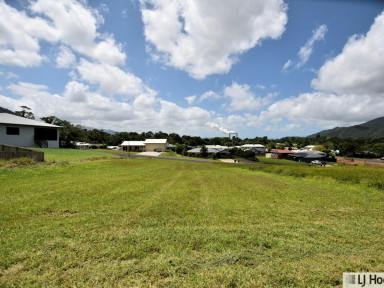 Residential Block For Sale - QLD - Tully - 4854 - Build Your Dream Home in a Sought-After Tully Location  (Image 2)