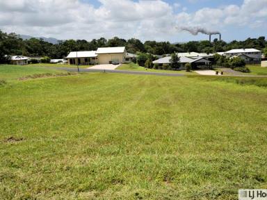 Residential Block For Sale - QLD - Tully - 4854 - Build Your Dream Home in a Sought-After Tully Location  (Image 2)