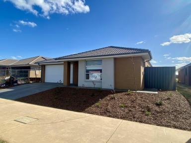 House For Lease - VIC - Echuca - 3564 - Lifesyle Living  (Image 2)