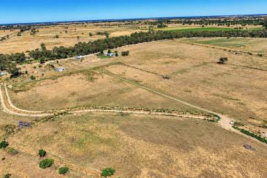 Cropping For Sale - VIC - Milnes Bridge - 3579 - Rare Pyramid Creek Frontage - 320 Acres of Lifestyle & Opportunity (Image 2)