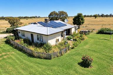 Cropping For Sale - VIC - Milnes Bridge - 3579 - Rare Pyramid Creek Frontage - 320 Acres of Lifestyle & Opportunity (Image 2)