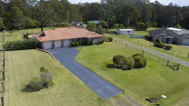 House For Sale - NSW - Failford - 2430 - Spacious Family Living - Acreage Lifestyle (Image 2)