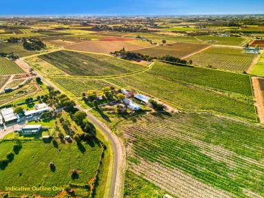 Horticulture For Sale - VIC - Cardross - 3496 - Make this your own.  (Image 2)