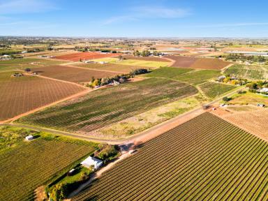 Horticulture For Sale - VIC - Cardross - 3496 - Make this your own.  (Image 2)