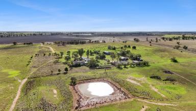 Mixed Farming For Sale - NSW - Narromine - 2821 - COMMERCIAL DEVELOPMENT OPPORTUNITY SUPPORTED BY COUNCIL (Image 2)