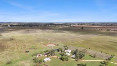 Mixed Farming For Sale - NSW - Narromine - 2830 - COMMERCIAL DEVELOPMENT OPPORTUNITY SUPPORTED BY COUNCIL  (Image 2)