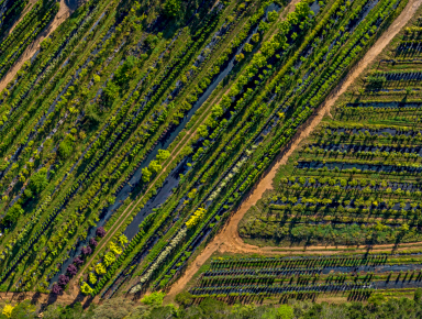 Mixed Farming For Sale - NSW - Canyonleigh - 2577 - Southern Highlands Tree Change with an Established Business  (Image 2)