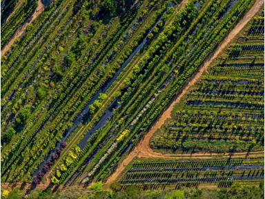 Commercial Farming For Sale - NSW - Canyonleigh - 2577 - Business, Property & Lifestyle Acquisition Opportunity (Image 2)