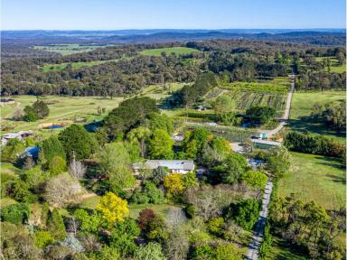 Commercial Farming For Sale - NSW - Canyonleigh - 2577 - Business, Property & Lifestyle Acquisition Opportunity (Image 2)