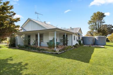 Lifestyle Auction - NSW - Bigga - 2583 - Picturesque Country Lifestyle Property (Image 2)