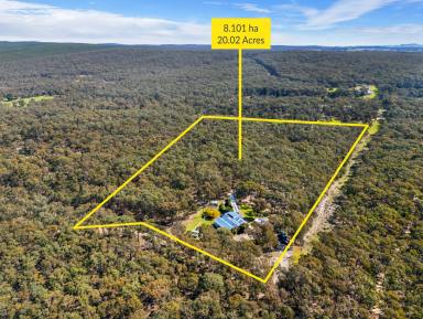 House For Sale - VIC - Hillcrest - 3351 - 8.1 HA (20 Acres) Private Rural Retreat with Dual-Occupancy Living & Superior Shedding (Image 2)