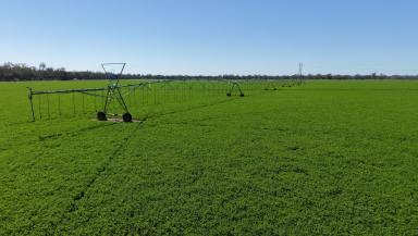 Mixed Farming For Sale - NSW - Forbes - 2871 - Production Certainty  (Image 2)