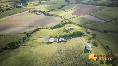 Mixed Farming For Sale - QLD - No. 5 Branch - 4856 - Rare Opportunity - Established Mixed Farming Operation.  (Image 2)