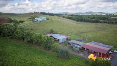Mixed Farming For Sale - QLD - No. 5 Branch - 4856 - Rare Opportunity - Established Mixed Farming Operation.  (Image 2)