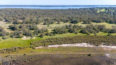 Other (Rural) For Sale - WA - Nirimba - 6208 - Privacy, Space & Nature  (Image 2)