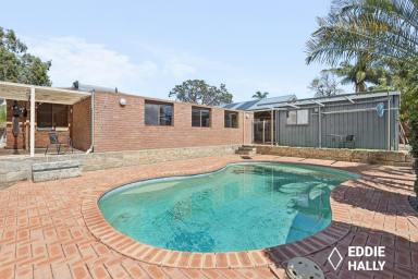 House For Sale - WA - Yangebup - 6164 - Pool Side For Summer Time!  (Image 2)