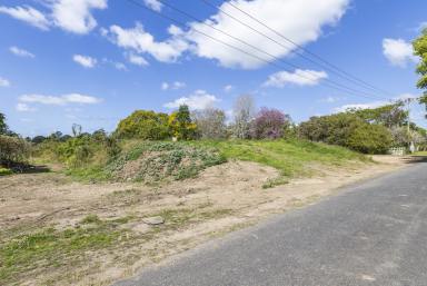 Residential Block For Sale - NSW - Brushgrove - 2460 - AFFORDABLE 1/2 ACRE BLOCK WITH SWEEPING CLARENCE RIVER VIEWS (Image 2)
