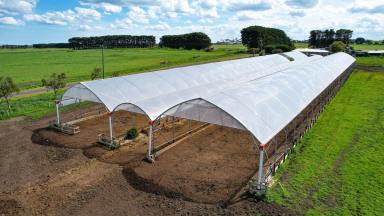 Dairy For Sale - VIC - Winslow - 3281 - MEDIUM SCALE DAIRY FARM – EXPANSION OPPORTUNITIES – IRRIGATION  (Image 2)