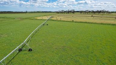 Dairy For Sale - VIC - Winslow - 3281 - MEDIUM SCALE DAIRY FARM – EXPANSION OPPORTUNITIES – IRRIGATION  (Image 2)