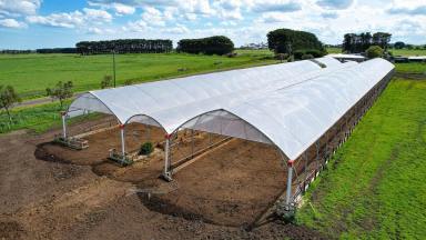 Dairy For Sale - VIC - Winslow - 3281 - MEDIUM SCALE DAIRY FARM – EXPANSION OPPORTUNITIES – IRRIGATION  (Image 2)