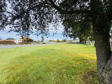 Residential Block For Sale - TAS - Zeehan - 7469 - The heart of Zeehan  (Image 2)