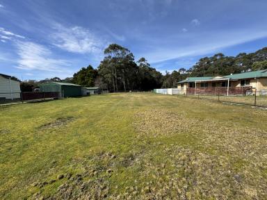 Residential Block For Sale - TAS - Strahan - 7468 - Serenity in Strahan  (Image 2)