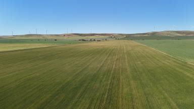 Mixed Farming For Sale - SA - Clements Gap - 5523 - Quality Cropping Country Available For Sale & Lease (Image 2)