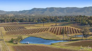 Lifestyle For Sale - NSW - Pokolbin - 2320 - Eagles Nest - A Stunning Palette in Wine Country  (Image 2)