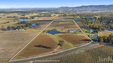 Lifestyle For Sale - NSW - Pokolbin - 2320 - Eagles Nest - A Stunning Palette in Wine Country  (Image 2)