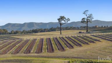 Lifestyle For Sale - NSW - Pokolbin - 2320 - Eagles Nest - A Stunning Palette in Wine Country  (Image 2)