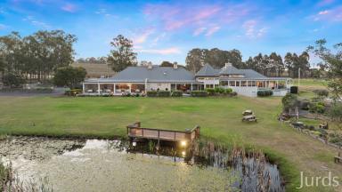 Lifestyle For Sale - NSW - Pokolbin - 2320 - RidgeView  (Image 2)