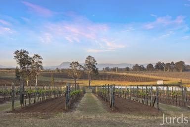 Lifestyle For Sale - NSW - Pokolbin - 2320 - RidgeView  (Image 2)
