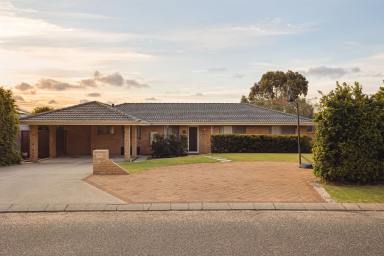 House For Sale - WA - Joondalup - 6027 - In a Word: Elevated  (Image 2)