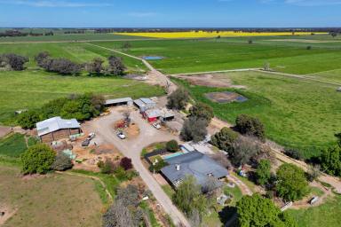 Dairy For Sale - VIC - Lockington - 3563 - PRODUCTIVE 135 ACRE DAIRY FARM WITH QUALITY INFRASTRUCTURE & FAMILY HOME  (Image 2)