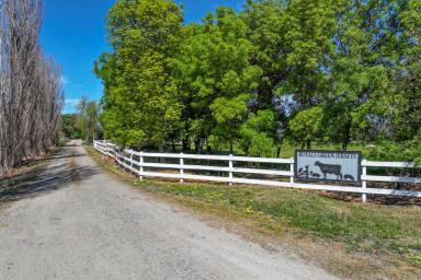 Dairy For Sale - VIC - Lockington - 3563 - PRODUCTIVE 135 ACRE DAIRY FARM WITH QUALITY INFRASTRUCTURE & FAMILY HOME  (Image 2)