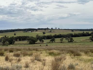 Mixed Farming For Sale - NSW - Mendooran - 2842 - Springfield - a great investment opportunity (Image 2)