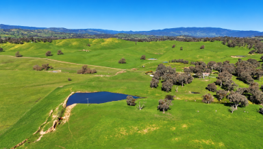 Other (Rural) Auction - NSW - Tumut - 2720 - KIMBALL COTTAGE/ SOUTH WEST SLOPES (Image 2)