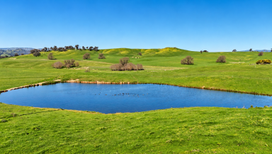 Other (Rural) Auction - NSW - Tumut - 2720 - KIMBALL COTTAGE/ SOUTH WEST SLOPES (Image 2)