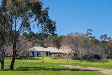 Livestock Auction - NSW - Orange - 2800 - Belgravia Park - A Prestigious & Highly Regarded Rural Property (Image 2)
