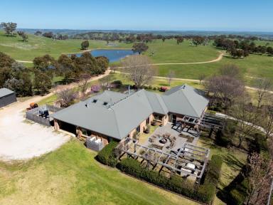Livestock Auction - NSW - Orange - 2800 - Belgravia Park - A Prestigious & Highly Regarded Rural Property (Image 2)