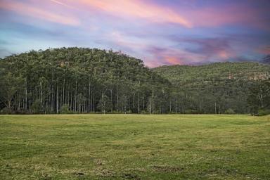 Livestock Auction - NSW - Wisemans Ferry - 2775 - Googoorewon - A Substantial Rural Holding - close proximity to Sydney CBD (Image 2)