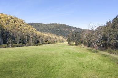 Livestock Auction - NSW - Wisemans Ferry - 2775 - Googoorewon - A Substantial Rural Holding - close proximity to Sydney CBD (Image 2)