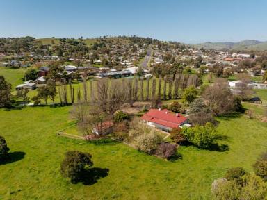 Livestock Auction - NSW - Gundagai - 2722 - Trinity Lee - Located in a Central yet Private Location  (Image 2)