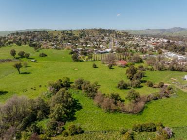 Livestock Auction - NSW - Gundagai - 2722 - Trinity Lee - Located in a Central yet Private Location  (Image 2)