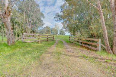 Acreage/Semi-rural For Sale - VIC - Mudgegonga - 3737 - A Private Rural Escape with Building Potential  (Image 2)
