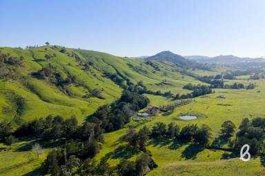 Lifestyle For Sale - NSW - Glendon Brook - 2330 - "Watervale" – A Rare Lifestyle Retreat with Abundant Water & Family Comfort  (Image 2)