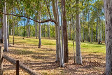 Lifestyle For Sale - NSW - Tabulam - 2469 - POLISHED GEM  (Image 2)